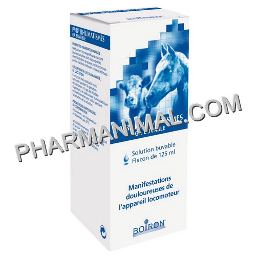 RHUMATYL fl/125 ml sol buv